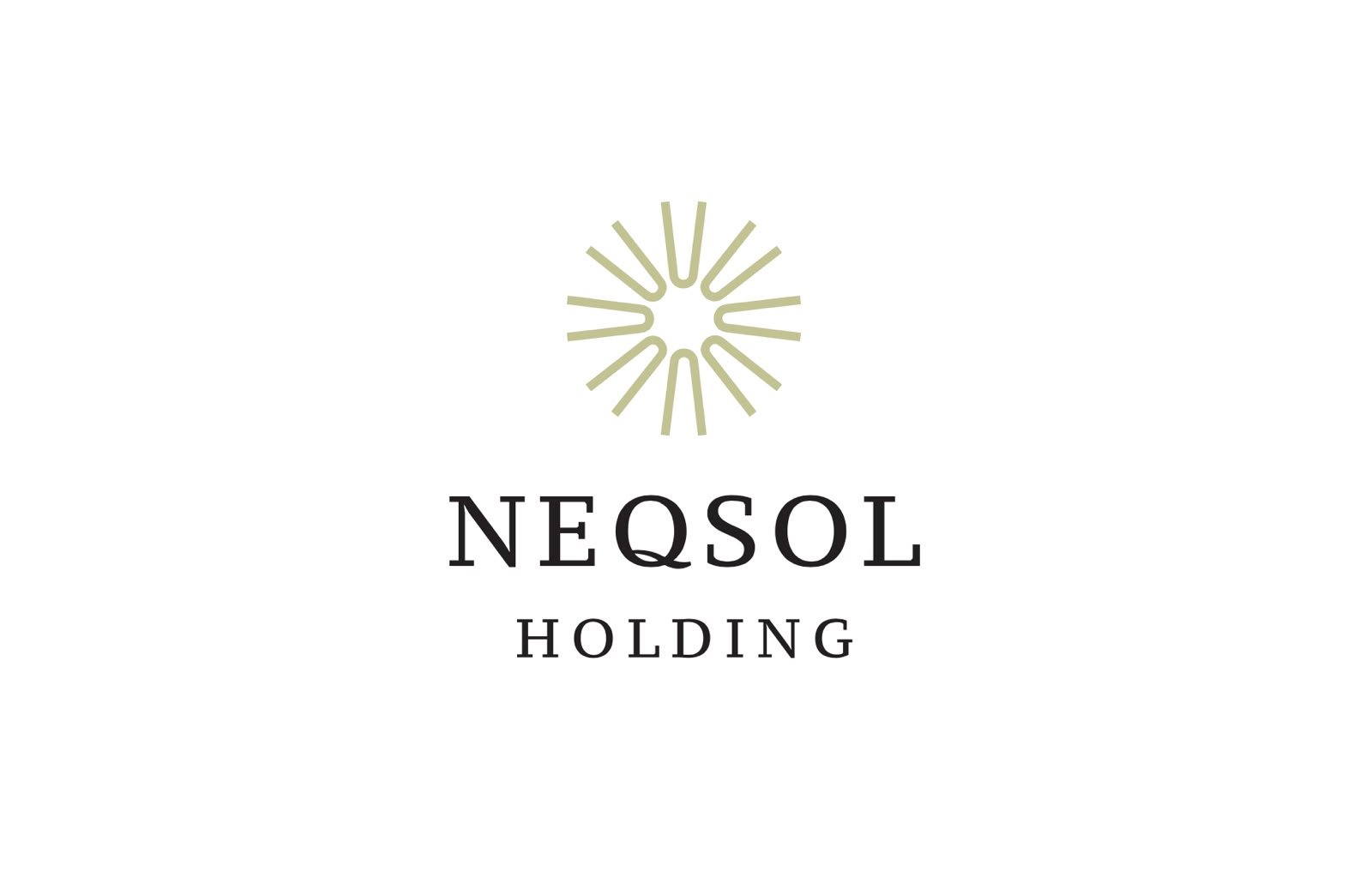 NEQSOL Holding